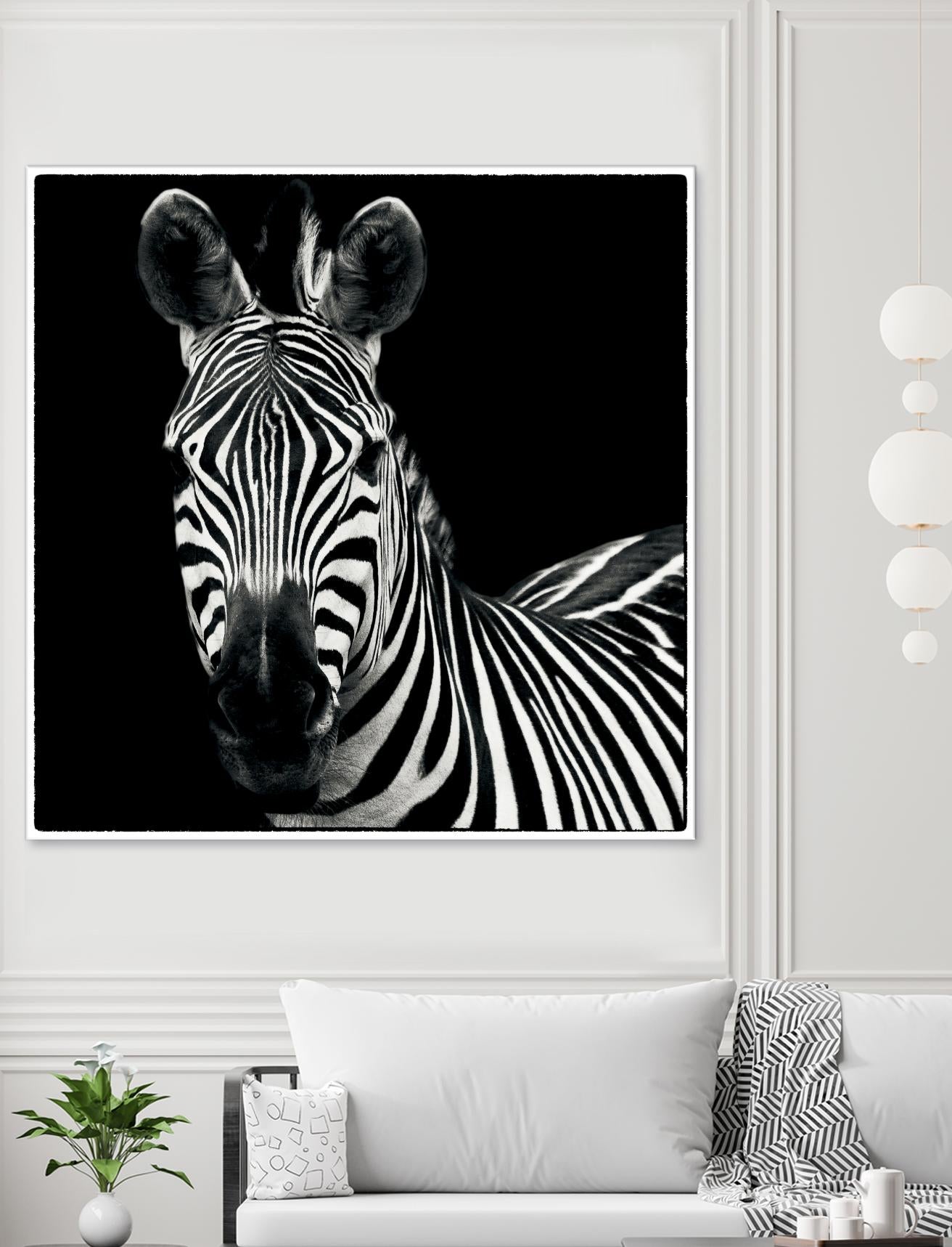 Zebra II by Debra Van Swearingen on GIANT ART - white animals