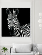 Zebra II by Debra Van Swearingen on GIANT ART - white animals