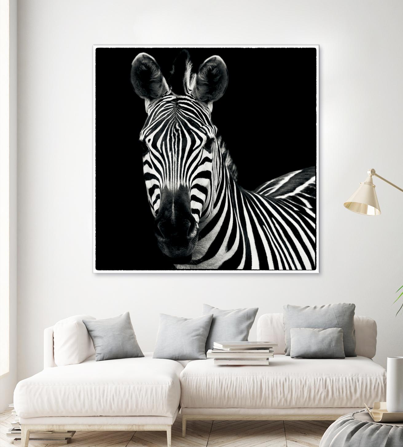 Zebra II by Debra Van Swearingen on GIANT ART - white animals