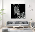 Zebra II by Debra Van Swearingen on GIANT ART - white animals