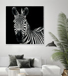 Zebra II by Debra Van Swearingen on GIANT ART - white animals