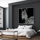 Zebra II by Debra Van Swearingen on GIANT ART - white animals