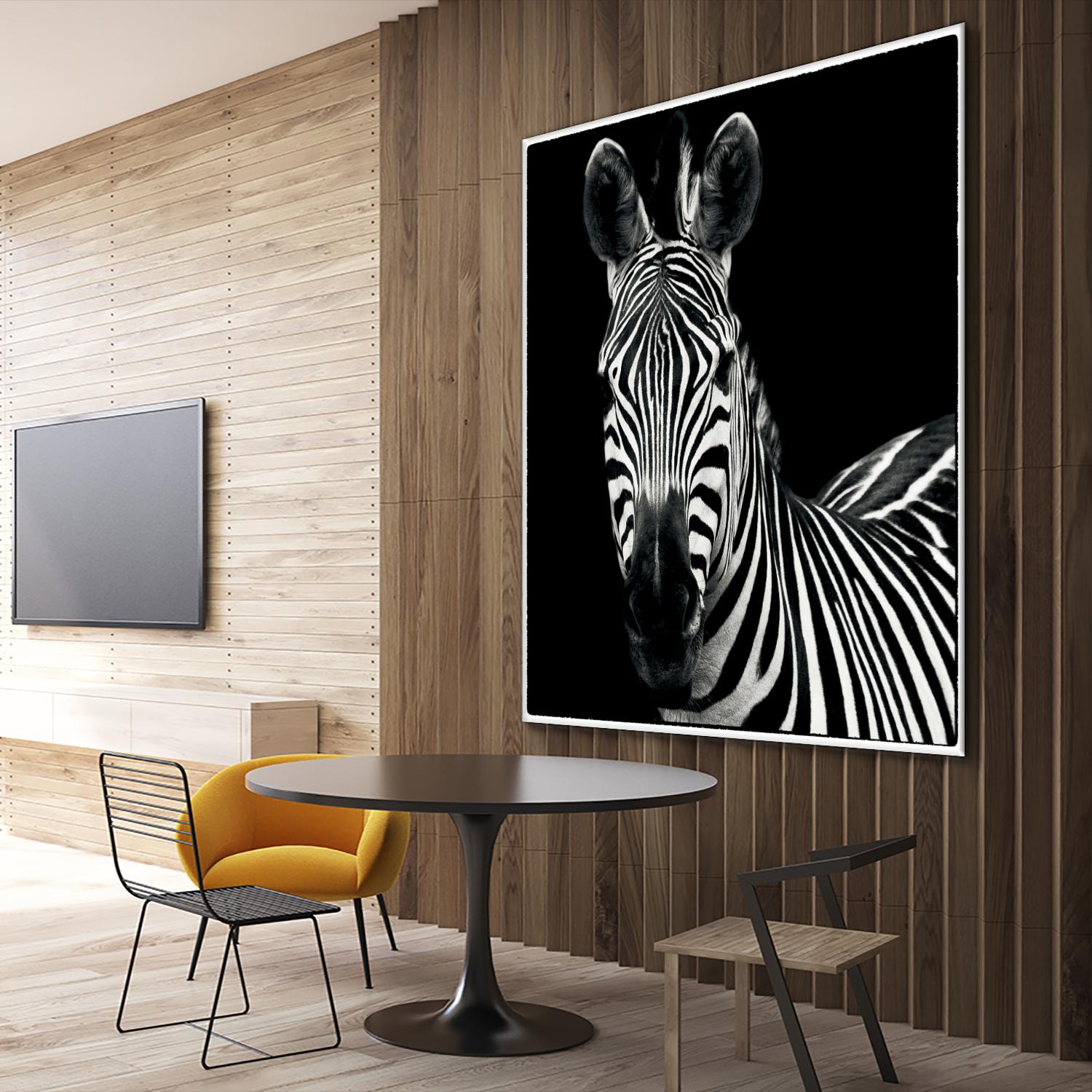Zebra II by Debra Van Swearingen on GIANT ART - white animals