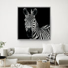 Zebra II by Debra Van Swearingen on GIANT ART - white animals