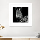 Zebra II by Debra Van Swearingen on GIANT ART - white animals