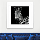 Zebra II by Debra Van Swearingen on GIANT ART - white animals