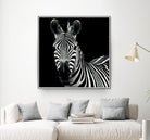 Zebra II by Debra Van Swearingen on GIANT ART - white animals
