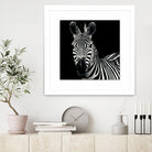 Zebra II by Debra Van Swearingen on GIANT ART - white animals