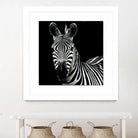 Zebra II by Debra Van Swearingen on GIANT ART - white animals