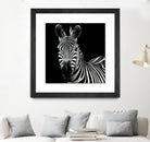 Zebra II by Debra Van Swearingen on GIANT ART - white animals