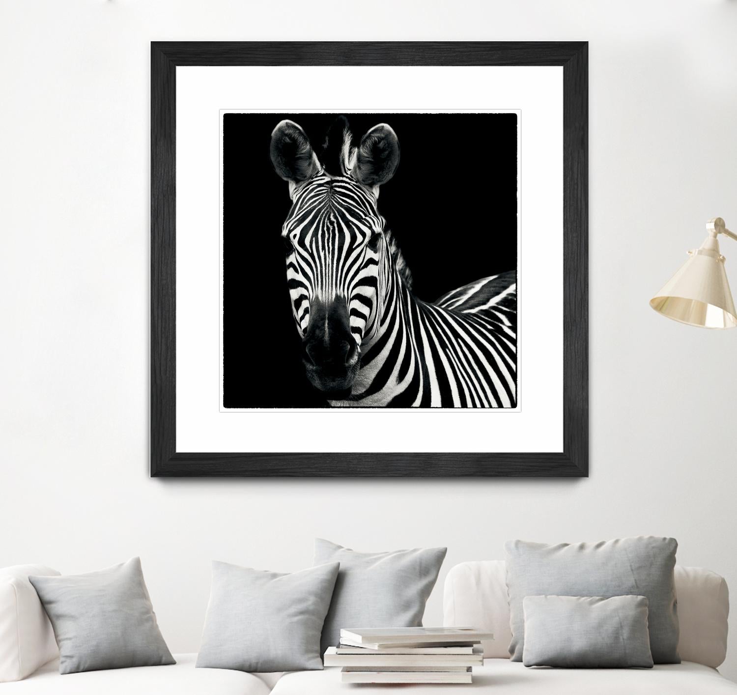 Zebra II by Debra Van Swearingen on GIANT ART - white animals