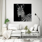Zebra II by Debra Van Swearingen on GIANT ART - white animals