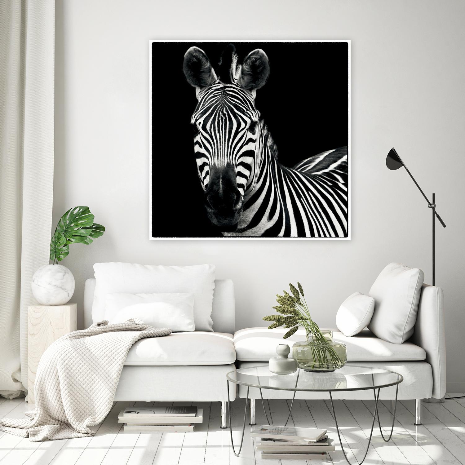 Zebra II by Debra Van Swearingen on GIANT ART - white animals