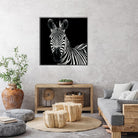 Zebra II by Debra Van Swearingen on GIANT ART - white animals