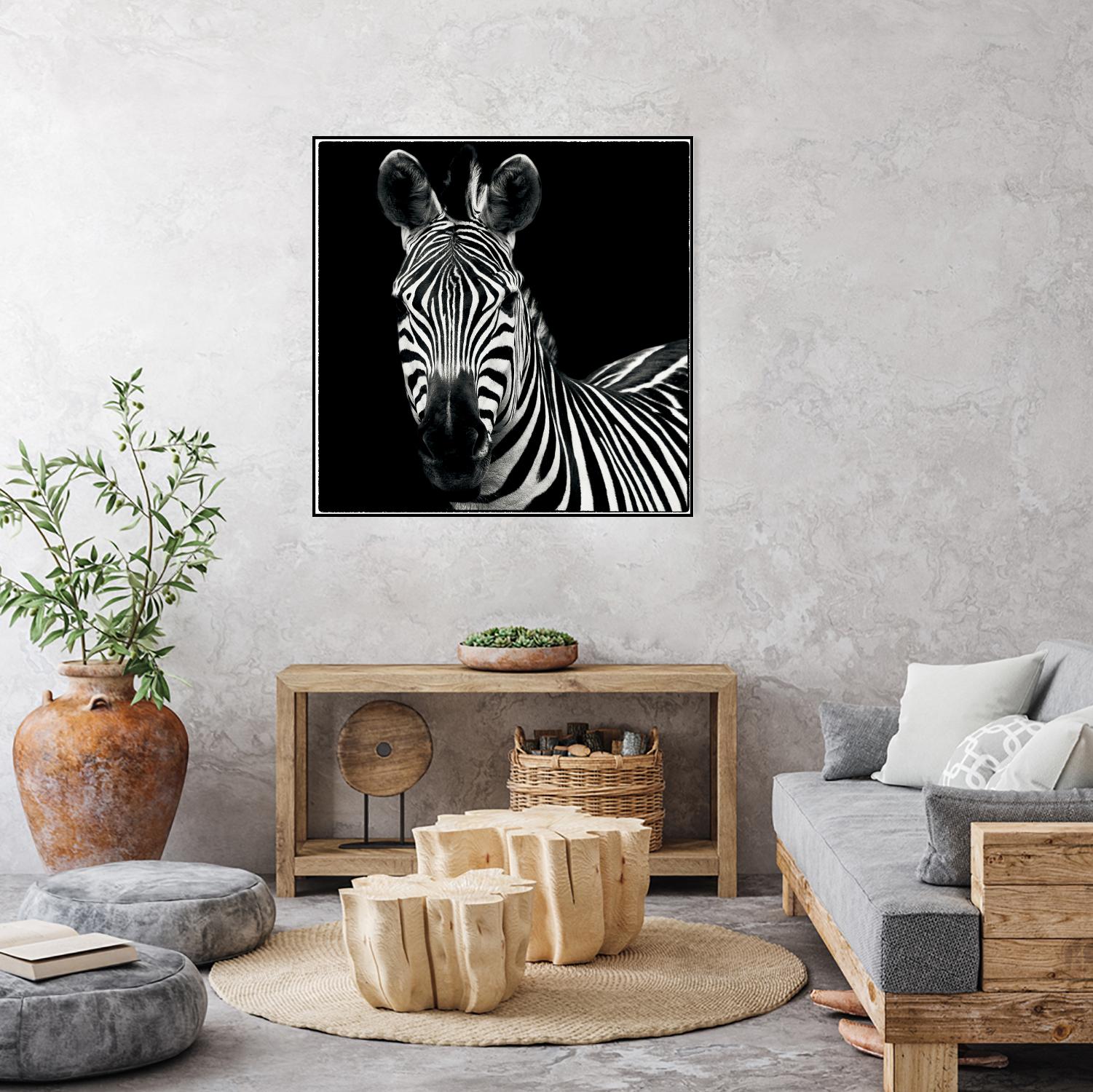 Zebra II by Debra Van Swearingen on GIANT ART - white animals