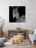 Zebra II by Debra Van Swearingen on GIANT ART - white animals