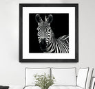 Zebra II by Debra Van Swearingen on GIANT ART - white animals