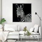 Zebra II by Debra Van Swearingen on GIANT ART - white animals