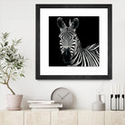 Zebra II by Debra Van Swearingen on GIANT ART - white animals