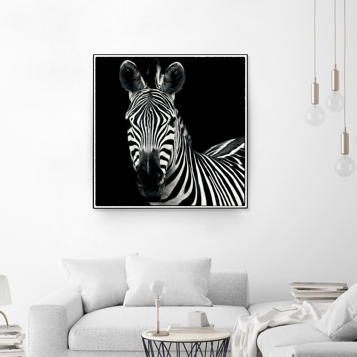 Zebra II by Debra Van Swearingen on GIANT ART - white animals