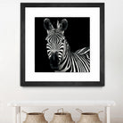 Zebra II by Debra Van Swearingen on GIANT ART - white animals
