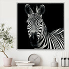 Zebra II by Debra Van Swearingen on GIANT ART - white animals