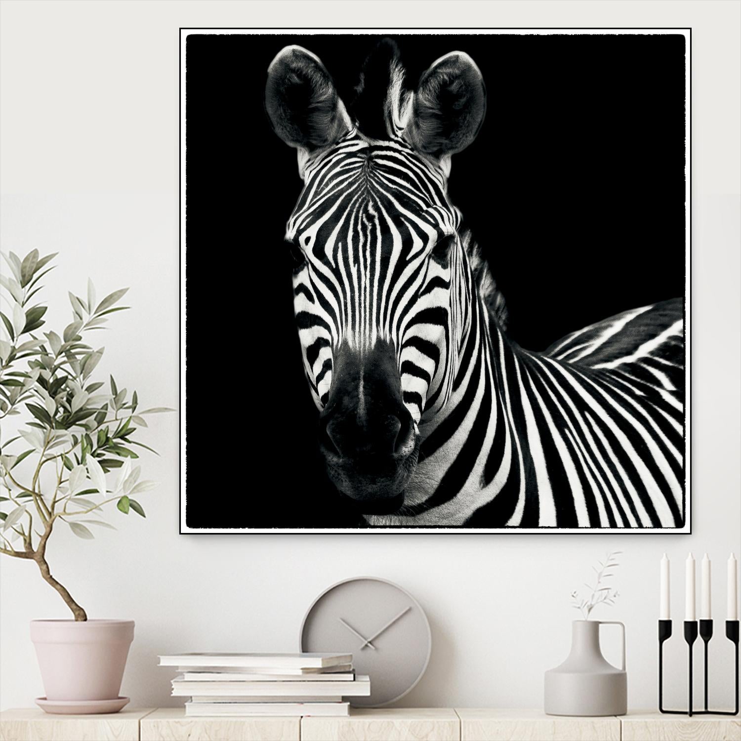 Zebra II by Debra Van Swearingen on GIANT ART - white animals