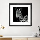 Zebra II by Debra Van Swearingen on GIANT ART - white animals