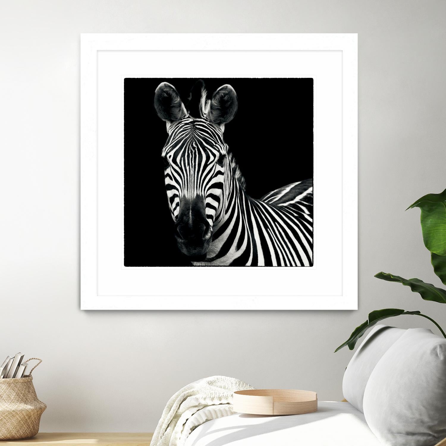 Zebra II by Debra Van Swearingen on GIANT ART - white animals