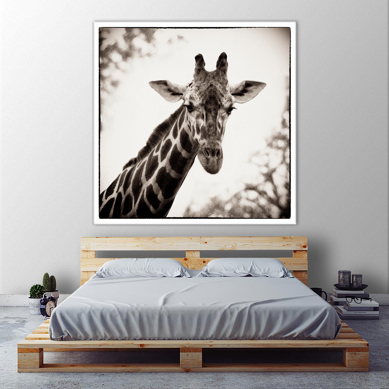 Giraffe I by Debra Van Swearingen on GIANT ART - grey animals