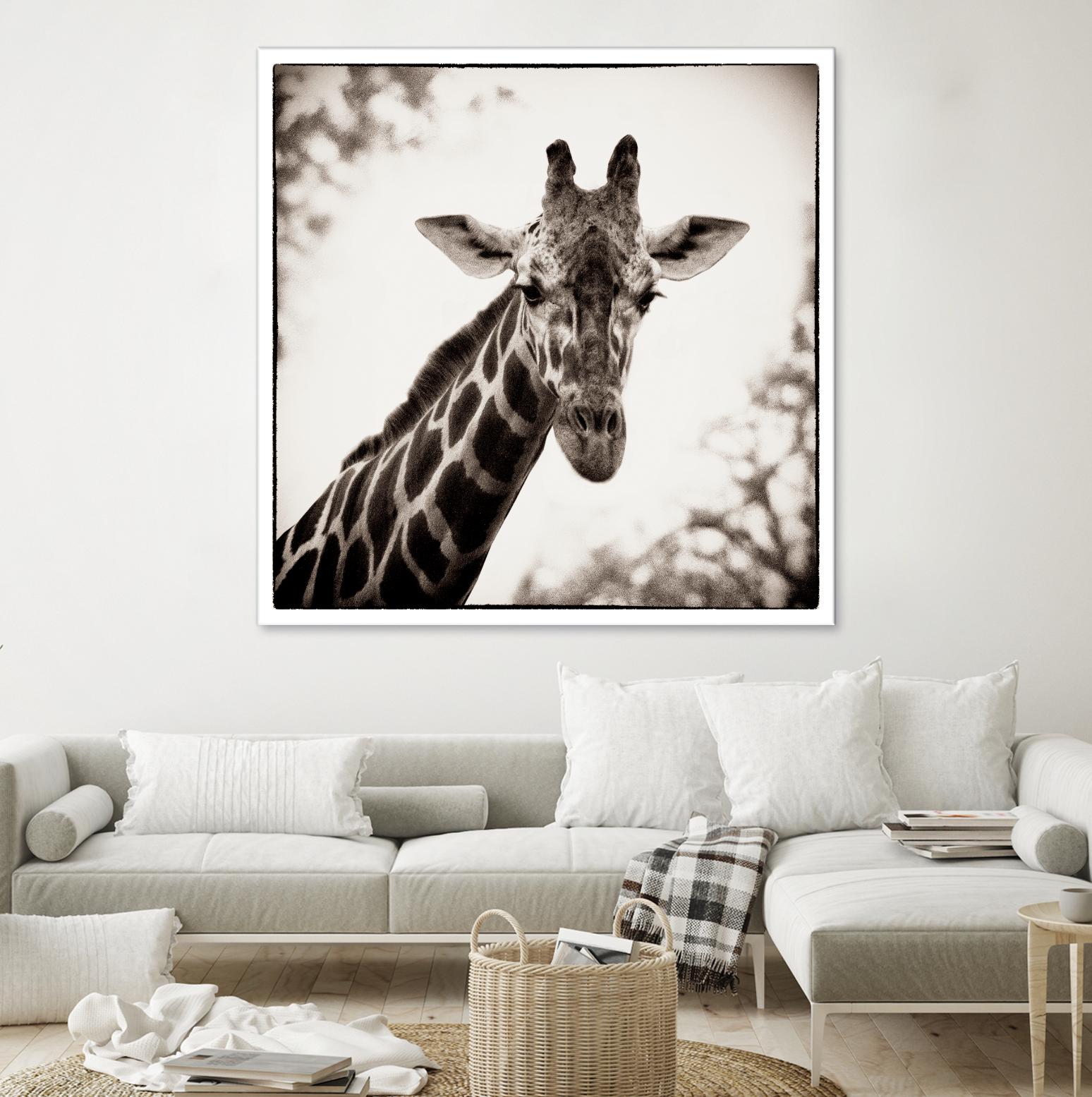 Giraffe I by Debra Van Swearingen on GIANT ART - grey animals