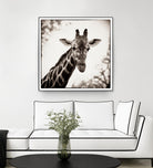Giraffe I by Debra Van Swearingen on GIANT ART - grey animals