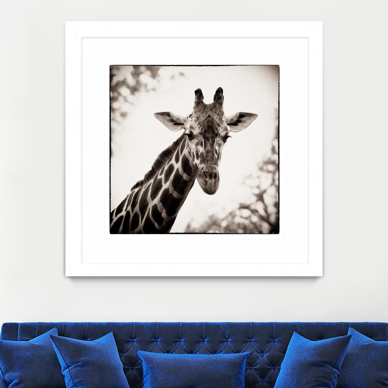 Giraffe I by Debra Van Swearingen on GIANT ART - grey animals
