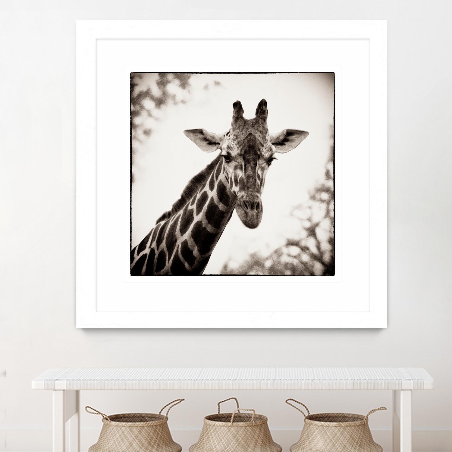 Giraffe I by Debra Van Swearingen on GIANT ART - grey animals