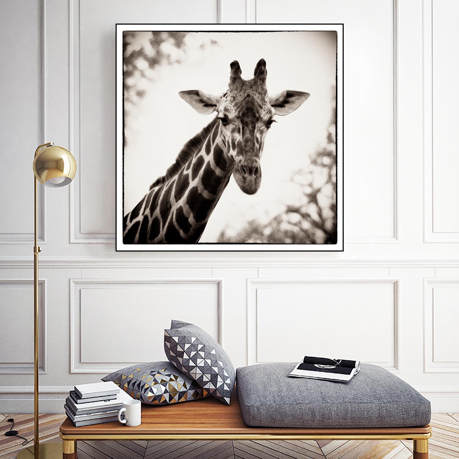 Giraffe I by Debra Van Swearingen on GIANT ART - grey animals