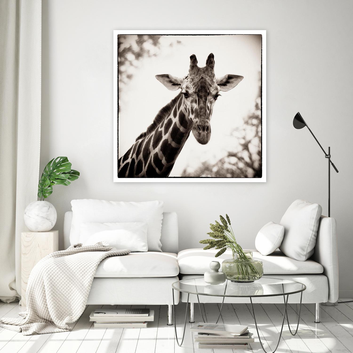 Giraffe I by Debra Van Swearingen on GIANT ART - grey animals