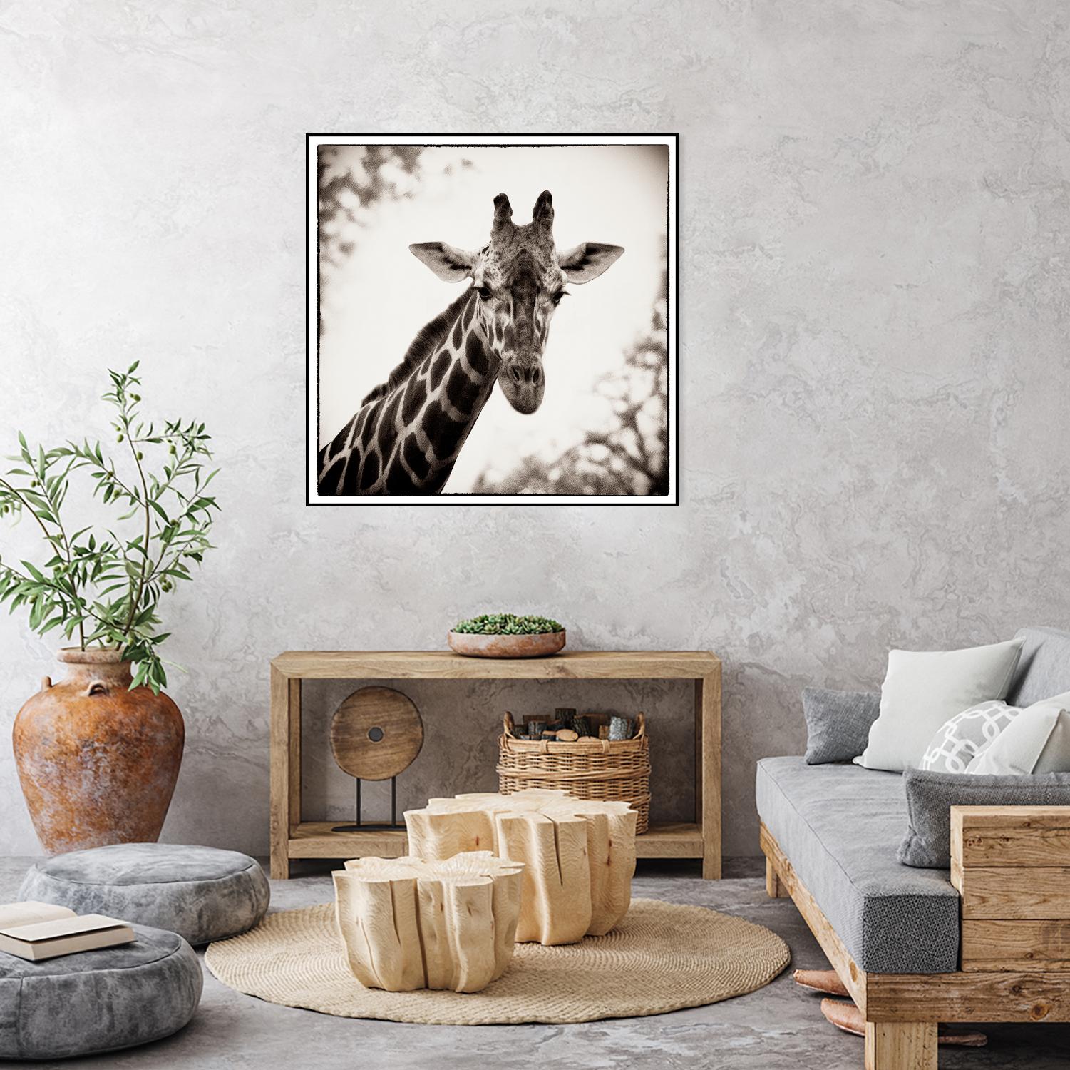 Giraffe I by Debra Van Swearingen on GIANT ART - grey animals