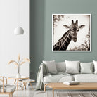 Giraffe I by Debra Van Swearingen on GIANT ART - grey animals