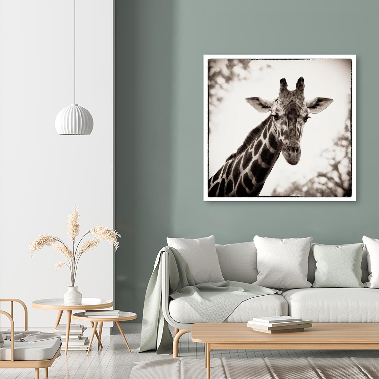 Giraffe I by Debra Van Swearingen on GIANT ART - grey animals