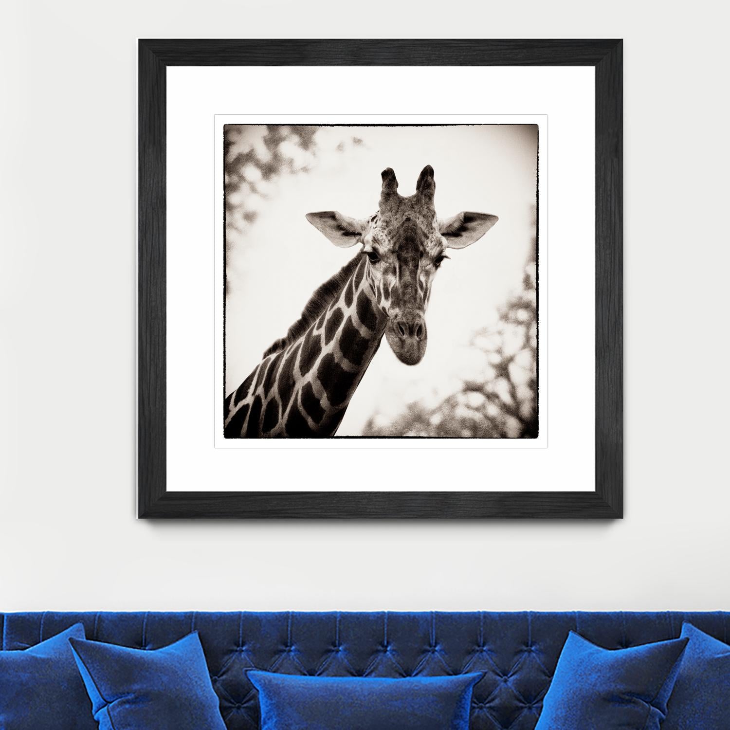 Giraffe I by Debra Van Swearingen on GIANT ART - grey animals