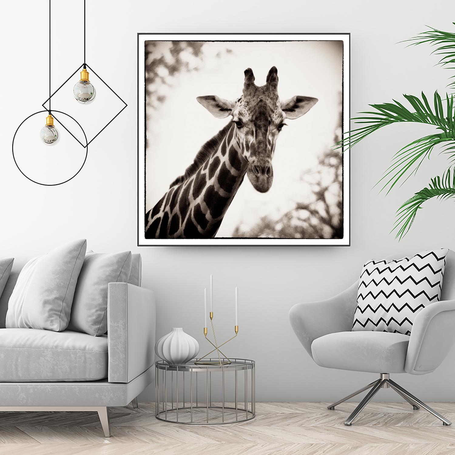 Giraffe I by Debra Van Swearingen on GIANT ART - grey animals