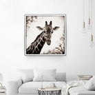 Giraffe I by Debra Van Swearingen on GIANT ART - grey animals