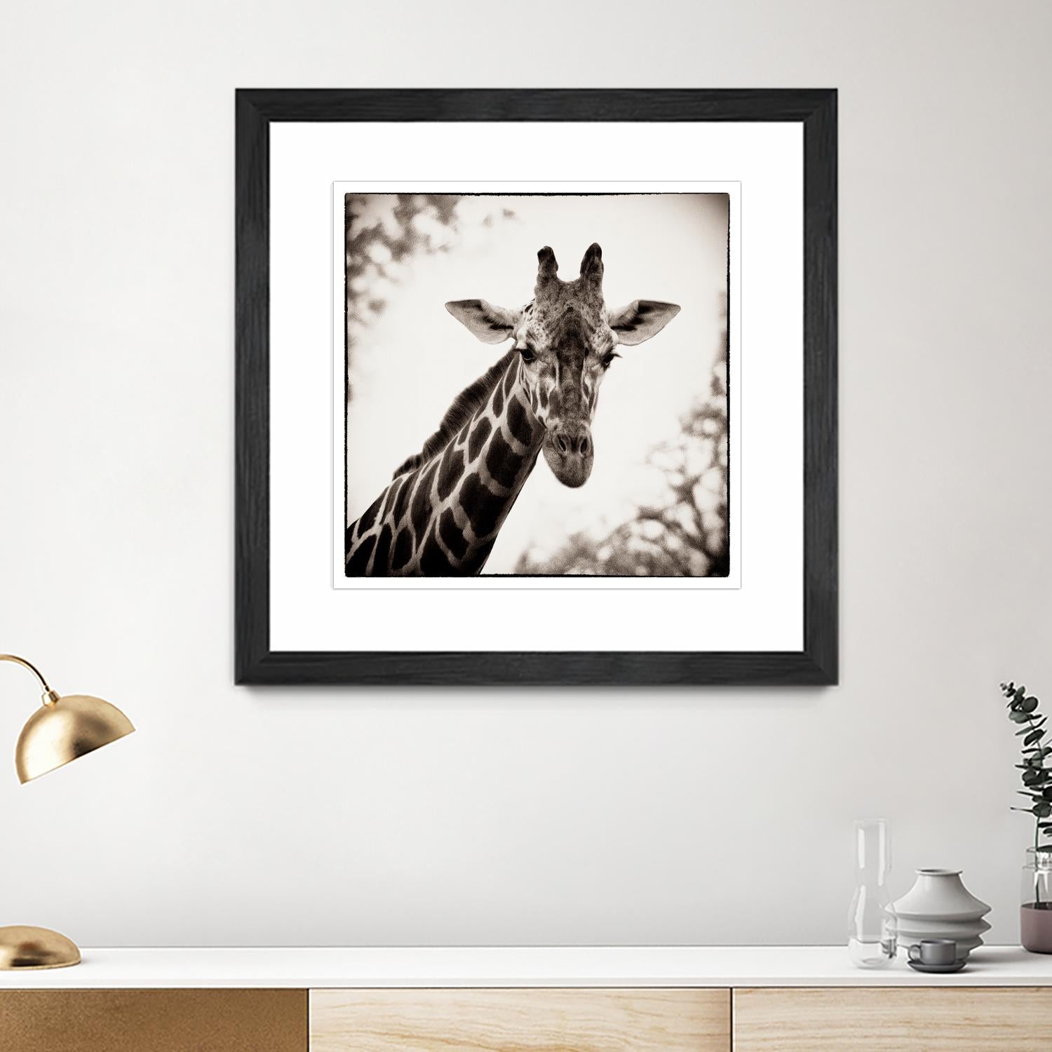 Giraffe I by Debra Van Swearingen on GIANT ART - grey animals