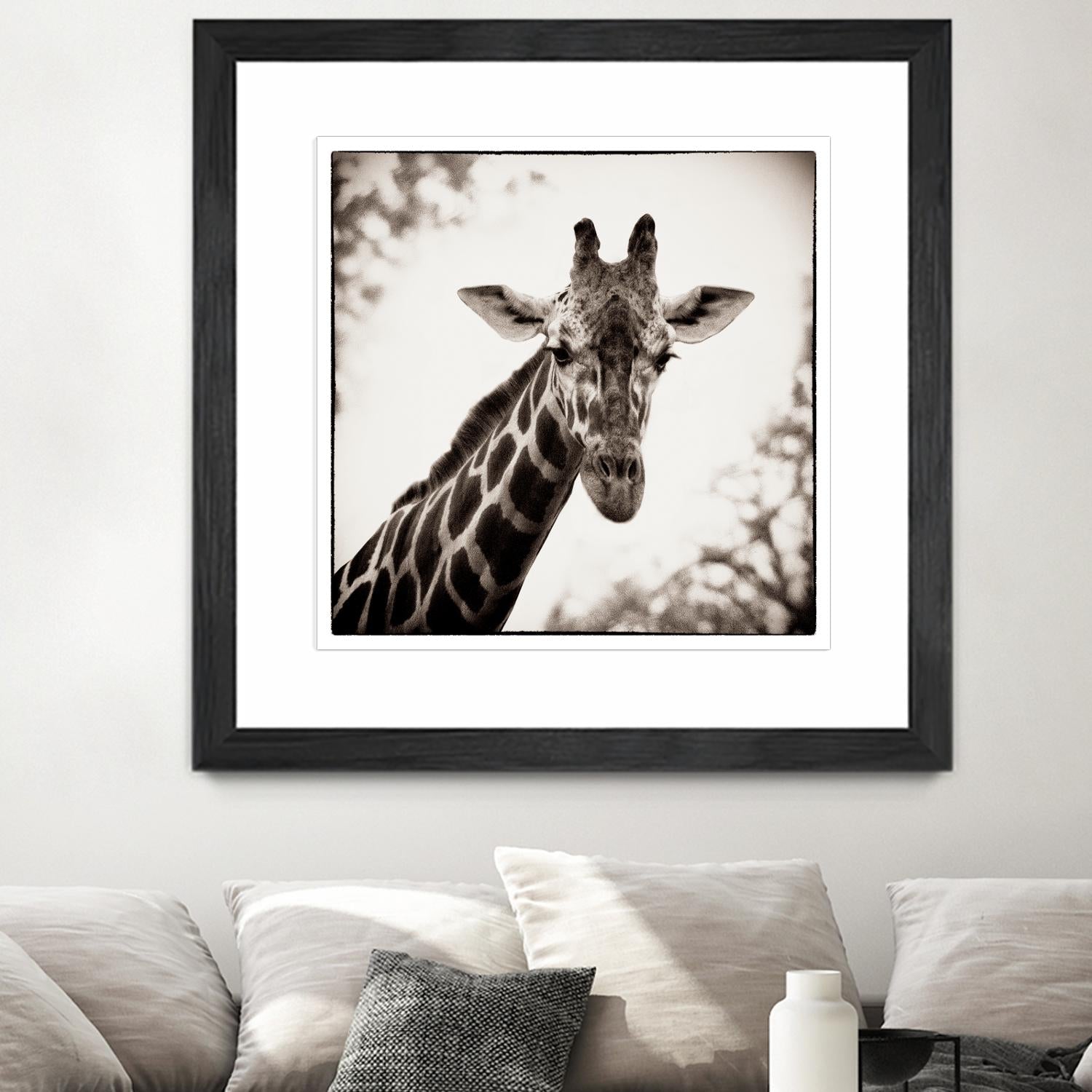 Giraffe I by Debra Van Swearingen on GIANT ART - grey animals