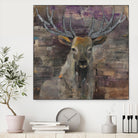 The Leader by Albena Hristova on GIANT ART - brown animals