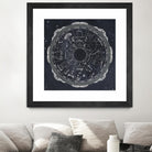 Night Sky Zodiac by Sara Zieve Miller on GIANT ART - grey maps