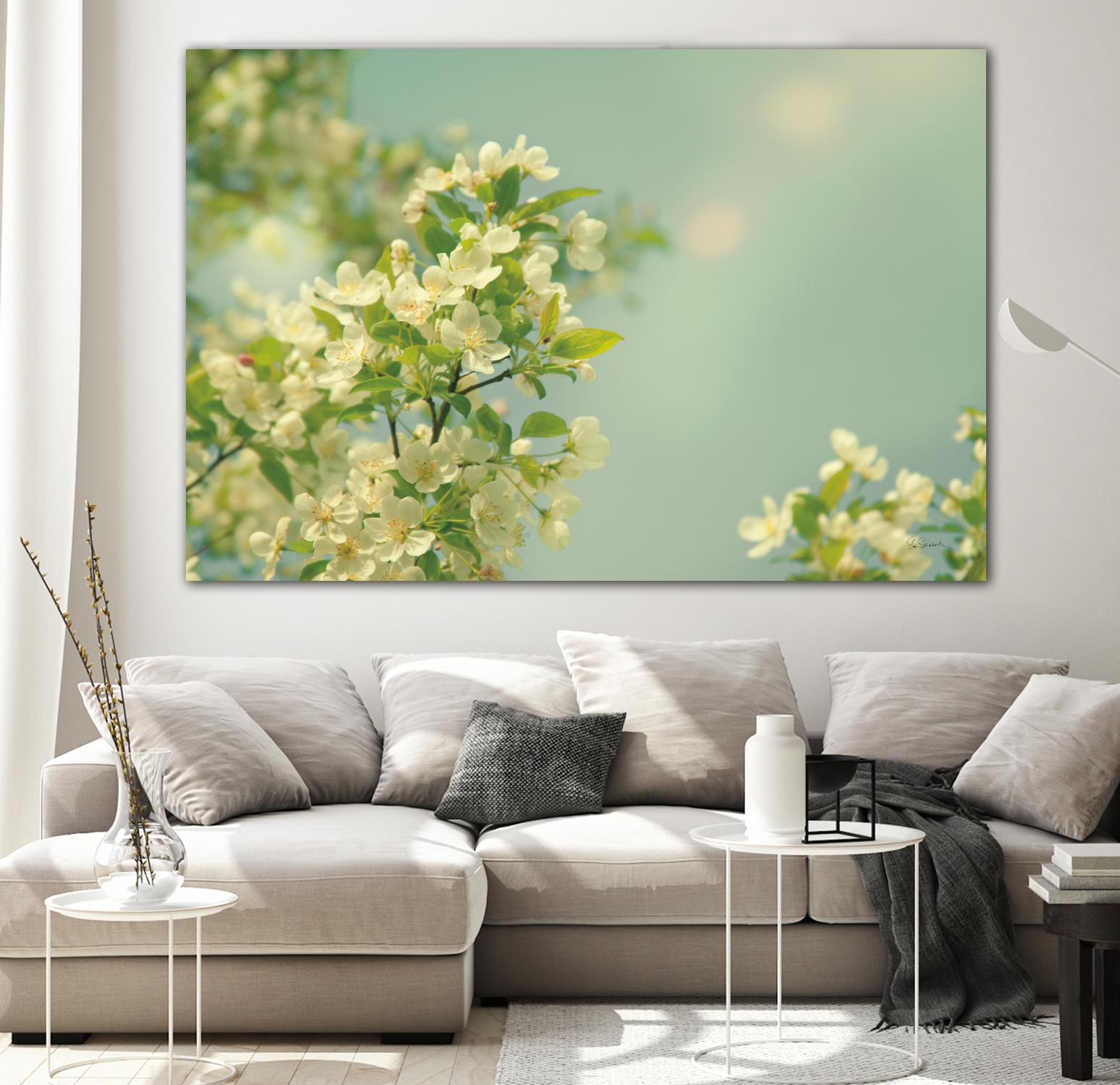 Spring Beauty I by Sue Schlabach on GIANT ART - white floral