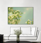 Spring Beauty I by Sue Schlabach on GIANT ART - white floral