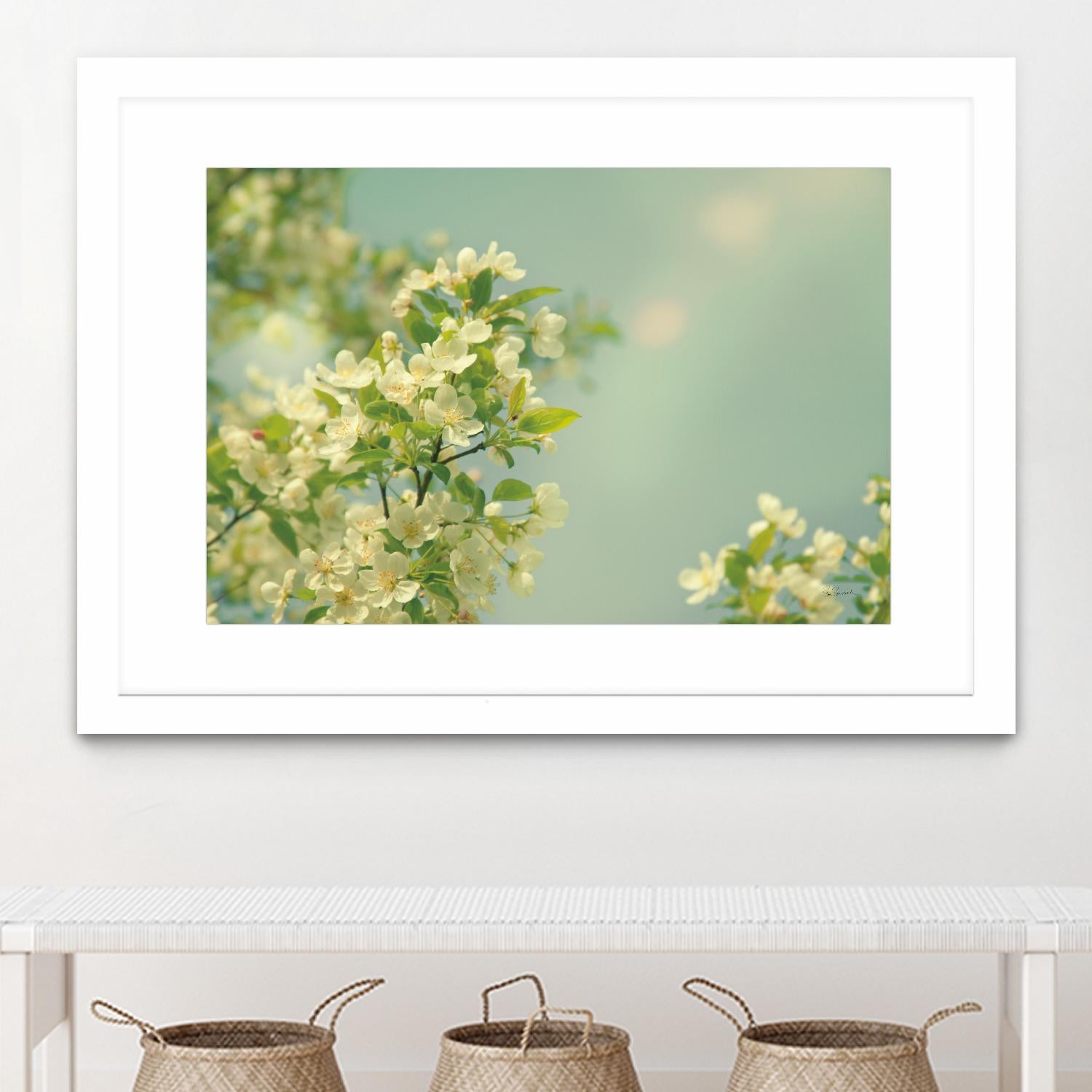 Spring Beauty I by Sue Schlabach on GIANT ART - white floral