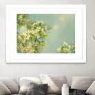 Spring Beauty I by Sue Schlabach on GIANT ART - white floral